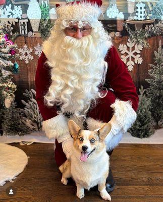 Christmas photos every year are our favorite (and they are so patient bc trust me, this took several takes)