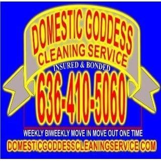 Domestic Goddess Cleaning Service logo