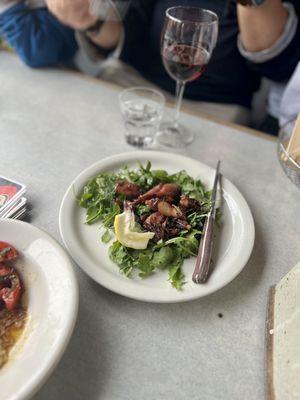 Squid with arugula