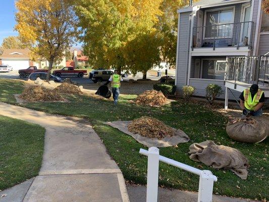 It's that time of the year. We change gears and focus on leaf clean up for the following weeks.