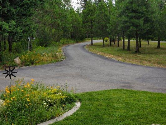 Left side of driveway before crack fill and seal coating