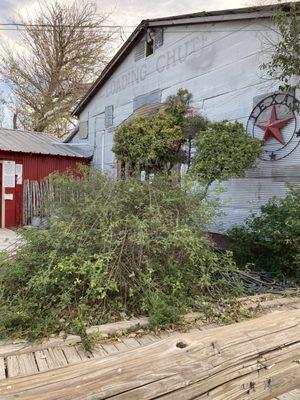 Old sheep shearing shed. Ozona is wool and mohair capital of USA