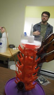 Rack used to drain off sanitized beer bottles