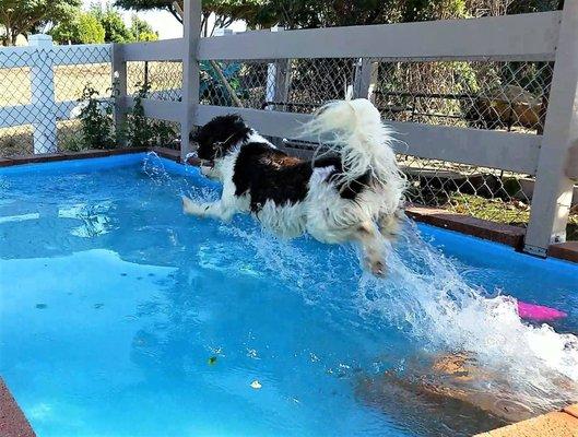 Sofia showing the guests proper pool ettiquette.