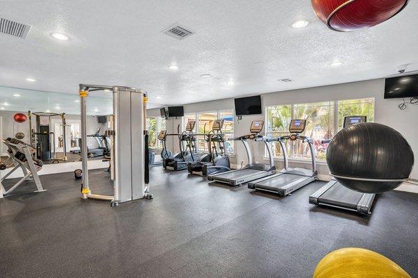 Fitness Center at The Canopy Apartment Villas in Orlando, Fl