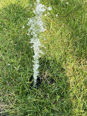 Broken sprinkler head