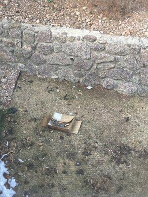 Box that's been in the courtyard since January. People don't pick up after their dogs so the grass is covered in turds.