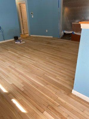 We were so excited by this new look with our freshly sanded hardwood floor.