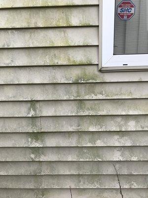 Vinyl Siding before our Soft Wash Process