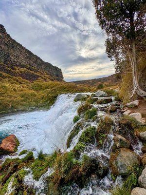 Earl M Hardy Box Canyon Springs Nature Preserve