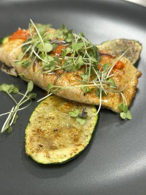 Barramundi