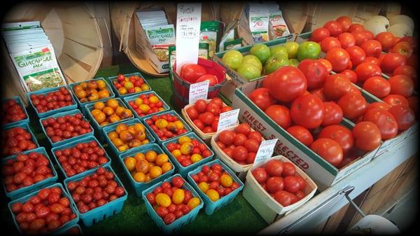 Our homegrown tomatoes