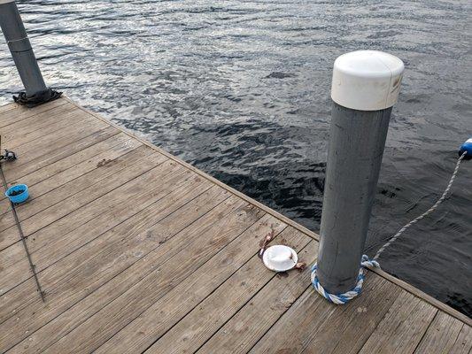 bowl of ice cream dumped on dock