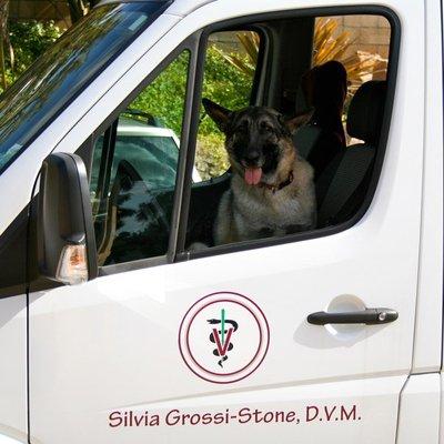 Dr Silvia's Mobile Veterinary Clinic