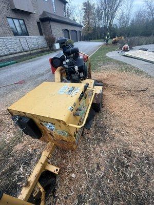 Neighbor Tree Service