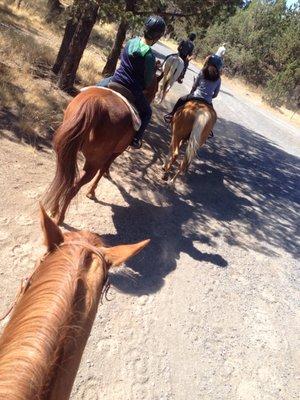 Newbie trail ride