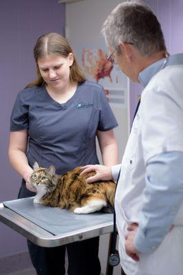 Dr. Weech and Nancy examining a cat