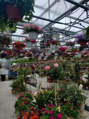 Abele Greenhouse & Garden Center