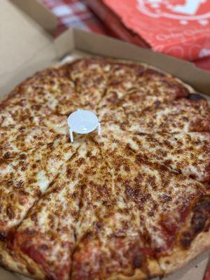 Large cheese pizza