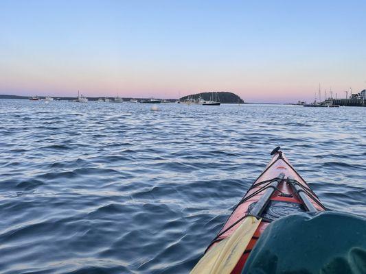 Coastal Kayaking Tours