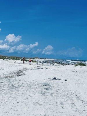 Gorgeous beach with soft sand