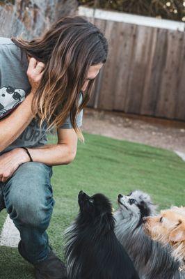 Little dogs deserve to learn what sit means too