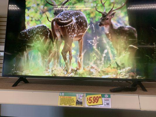 I bought this Smart TV! It is really cool and great picture quality for a budget consumer like myself.