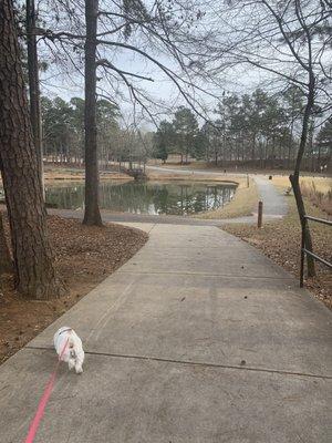 This way to shorter path around the pond