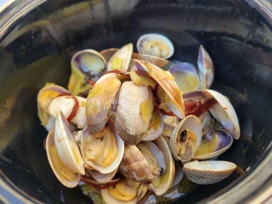 Manila clams