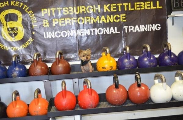 Pittsburgh Kettlebell & Performance