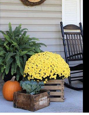 Fall decorating services