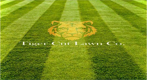 Tiger Cut Lawn Co knows how to get that perfect tiger stripe.