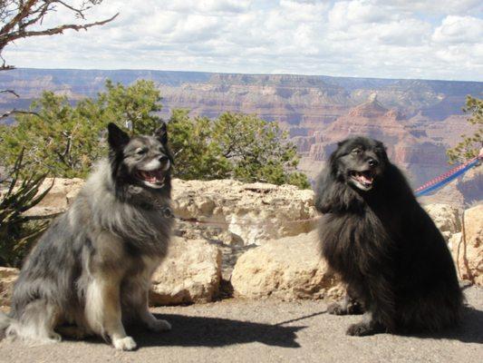 Showing off Lisa's grooming at the Grand Canyone