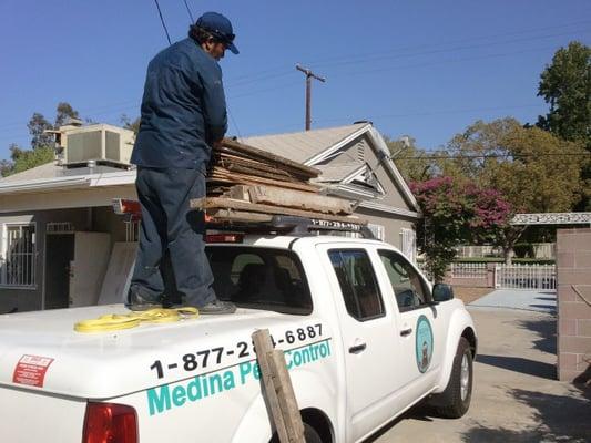 Loading up Termite Eaten Wood.