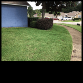 After 6 months of service.  Saved this homeowner from resodding the lawn just by doing what the grass needed to grow.