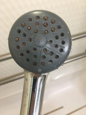 Shower head needed to be replaced long ago...