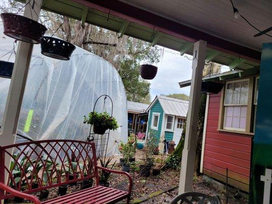 Patio and greenhouse