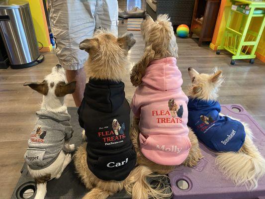 Flea Treats Team - looking sharp!