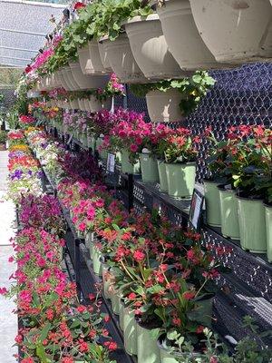 Visit our garden center!