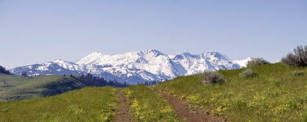 Cornucopia Mountains located in Halfway, OR