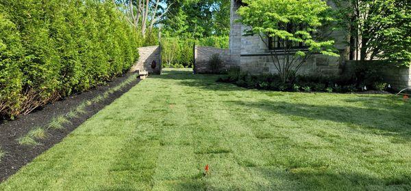 Landscape Design and Install - Sod