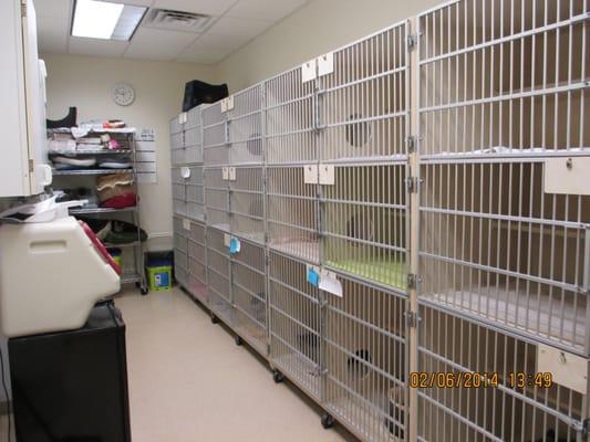 The Cat Hospital of Durham and Chapel Hill