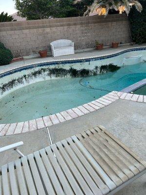 Months later, it is now October, and my parents pool has black algae. It was not "swimmable" the entire summer.