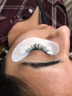 Classic Lashes