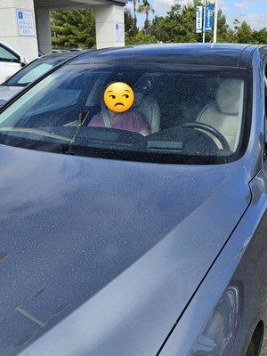 Rain spotted dirt all over car.