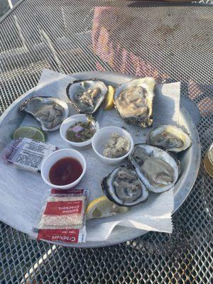 Oysters