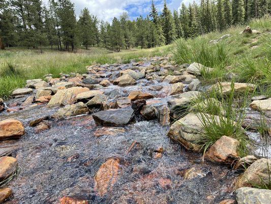 Davis Ponds Loop Trail