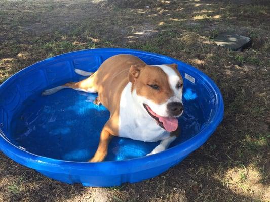 Big Jake cooling down