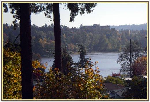 A Beautiful View of Our Pristine Willamette River!