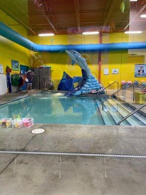 Dolphin Swim Club